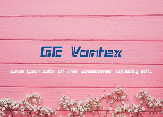 GE Vortex example